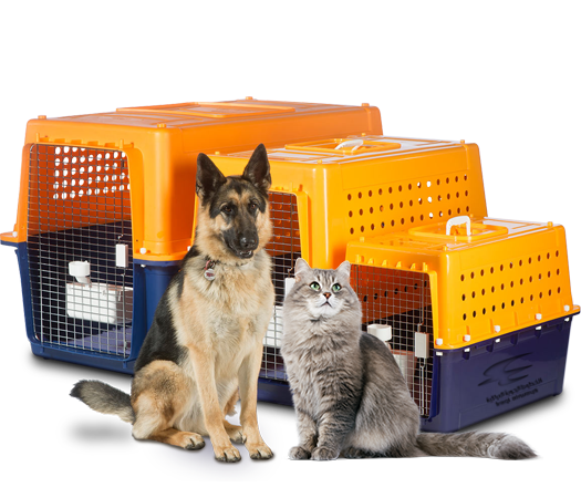 Proper pet crates for shipping